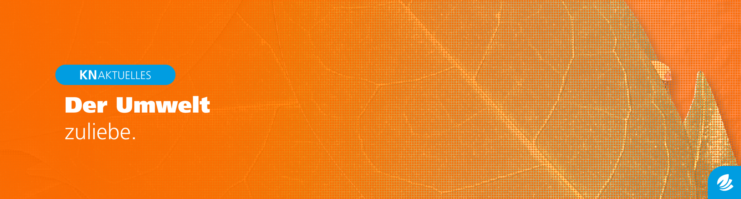 KN-Blogbeitrag-Layout-Umwelt-Header2