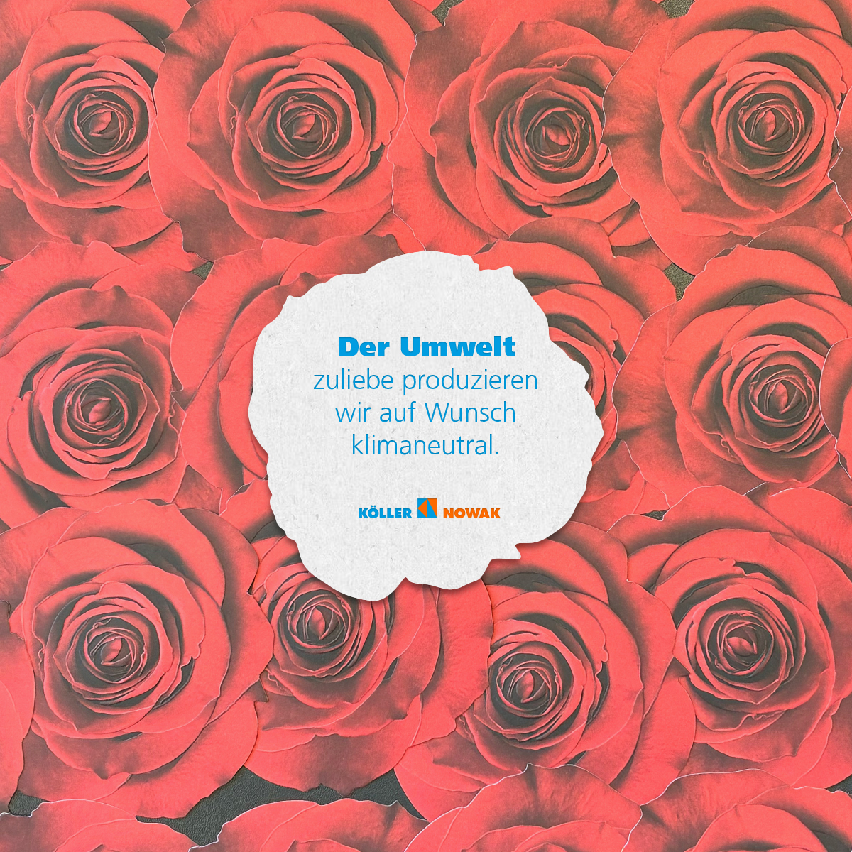 KN-SF-Blogbeitrag-Umwelt-Q-1V2