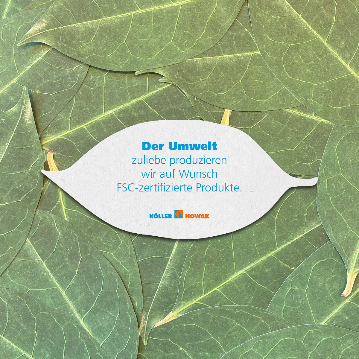 KN-SF-Blogbeitrag-Umwelt-Q-2V2