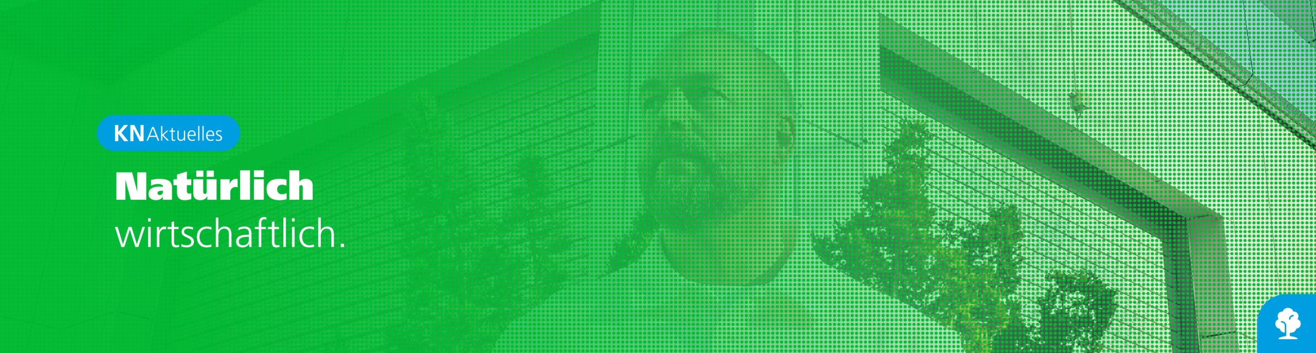 KN-Blogbeitrag-Linkedin-Layout-FSC-Audit-Panorama